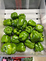 Green Peppers (3 pack)