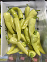 Sweet Peppers (3 pack)